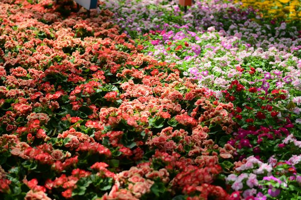 Comment choisir un éclairage pour mettre en valeur un escalier en colimaçon ?