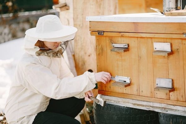 Quelles sont les astuces pour ouvrir une boîte aux lettres sans clé ?